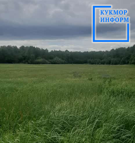 Житель села Лубяны Кукморского района поделился фото следа медведя
